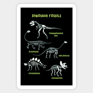 Dinosaur Fossils - Dino skeletons by Cecca Designs Magnet